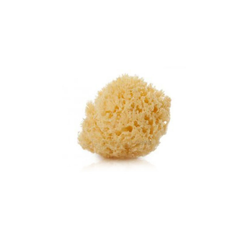 Suavinex Esponja natural grande