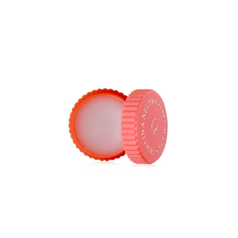 Gal Vaselina Neutra Perfumada Grande 35g