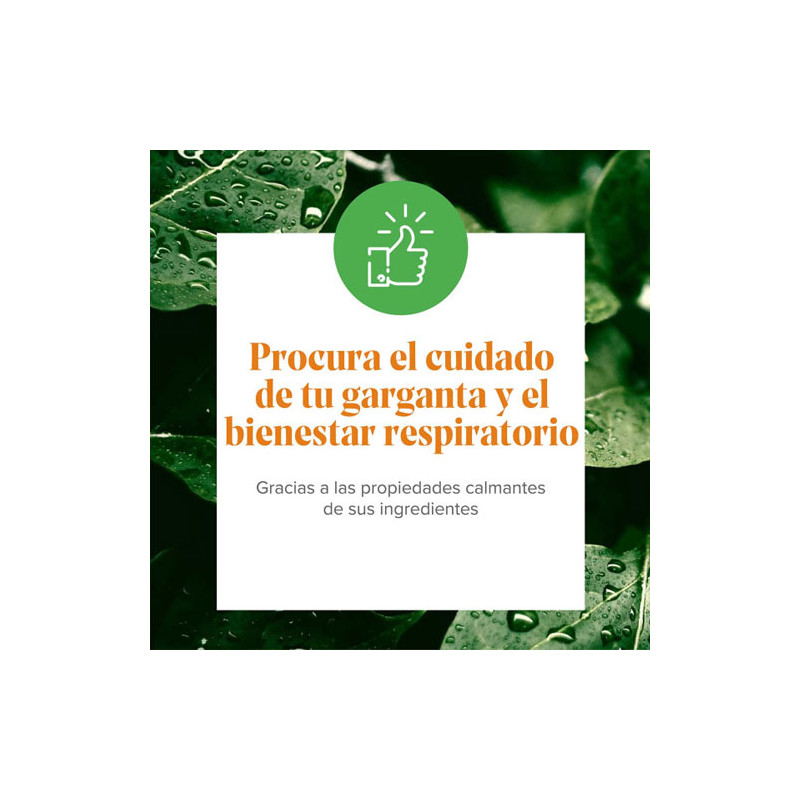 Arkovox Propolis Spray 30ml