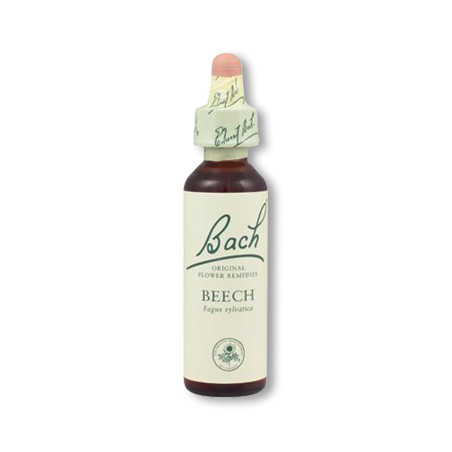 Flores de Bach - Beech 20 ml