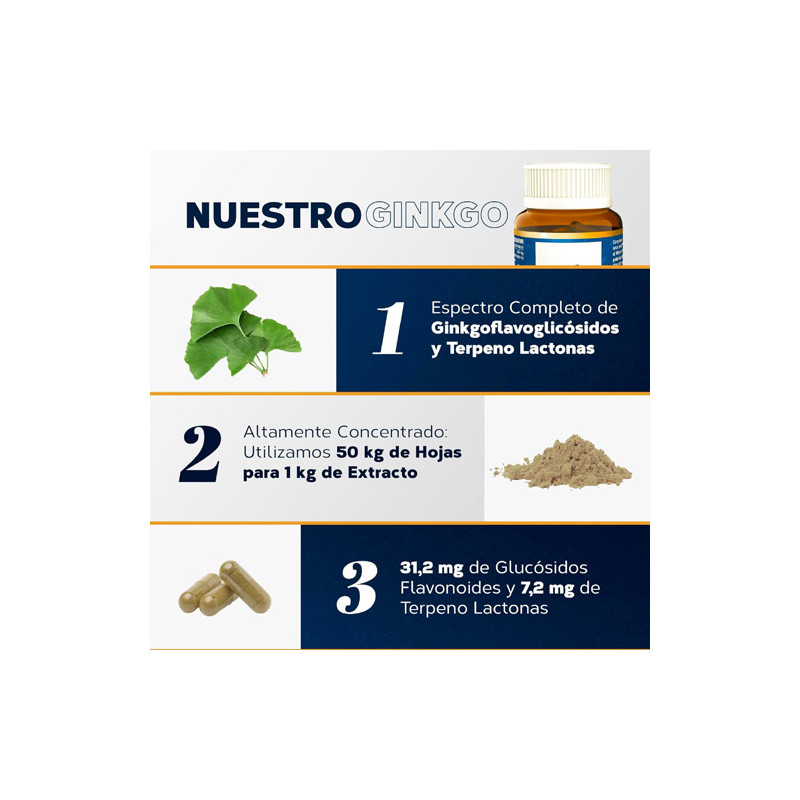 Estado Puro Ginkgo Maxima Concentracion 6500mg 40Caps