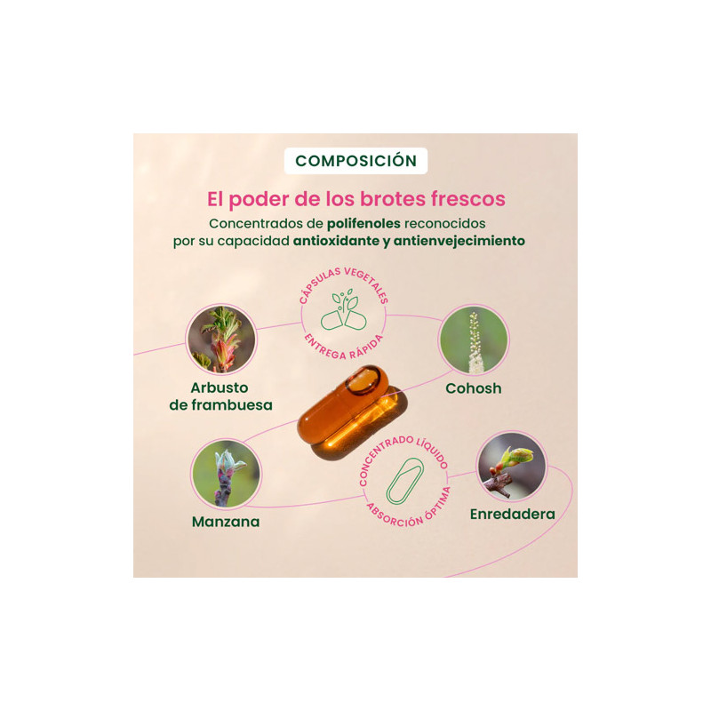 Herbalgem Gemmocaps Perimenopausia 30Caps