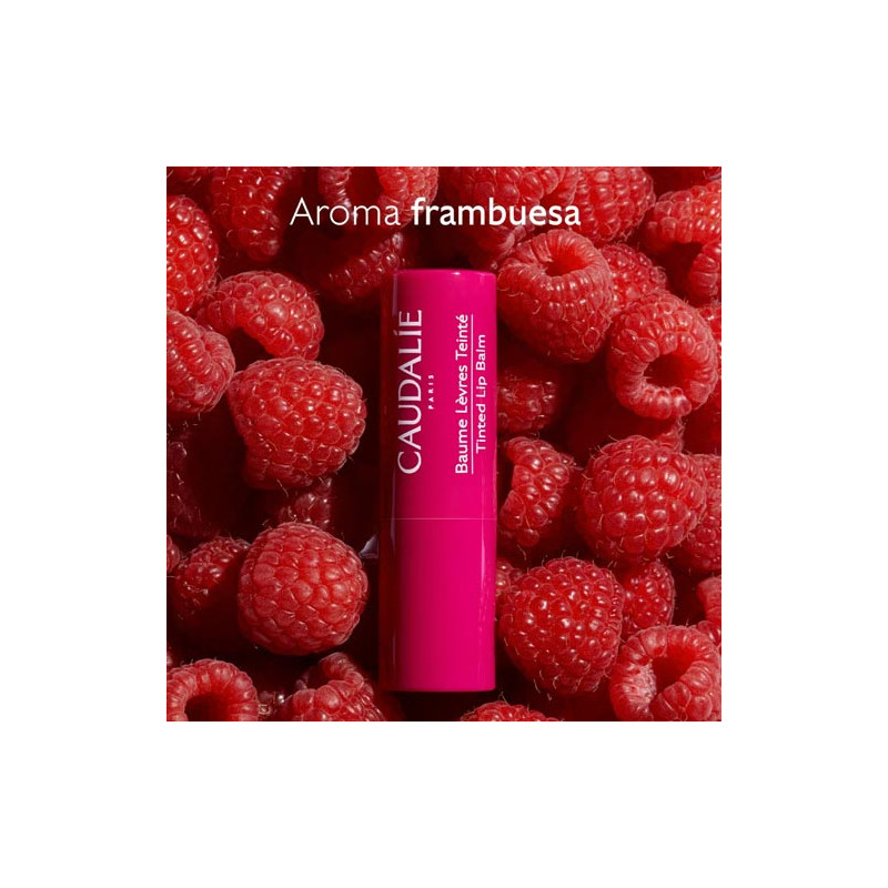 Caudalie Balsamo de Labios Color Rosa 4.5gr