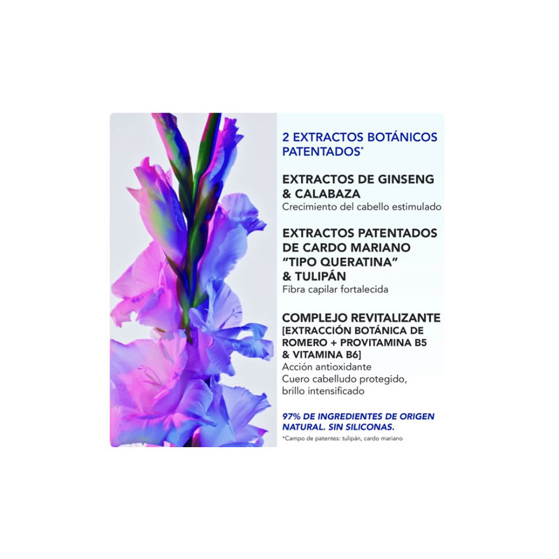 Phytophanere Ultra Serum 50ml