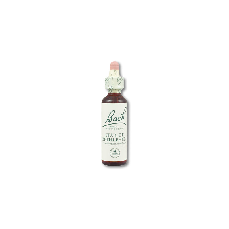 Flores de Bach - star of bethlehem 20 ml