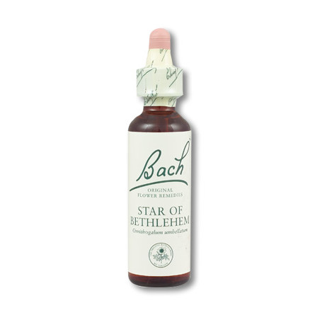 Flores de Bach - star of bethlehem 20 ml