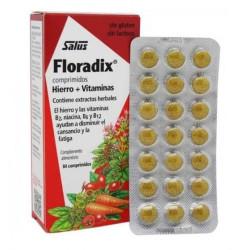 Floradix 84 Comprimidos