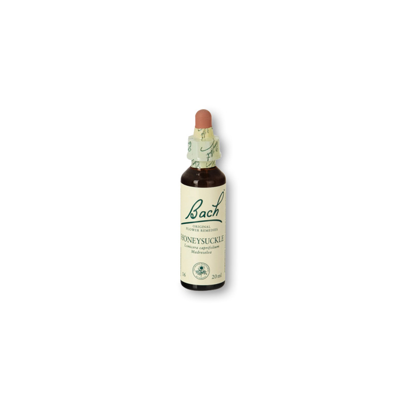 Flores de Bach - Honeysuckle 20 ml