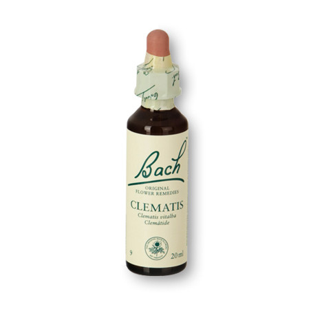 Flores de Bach - clematis 20 ml