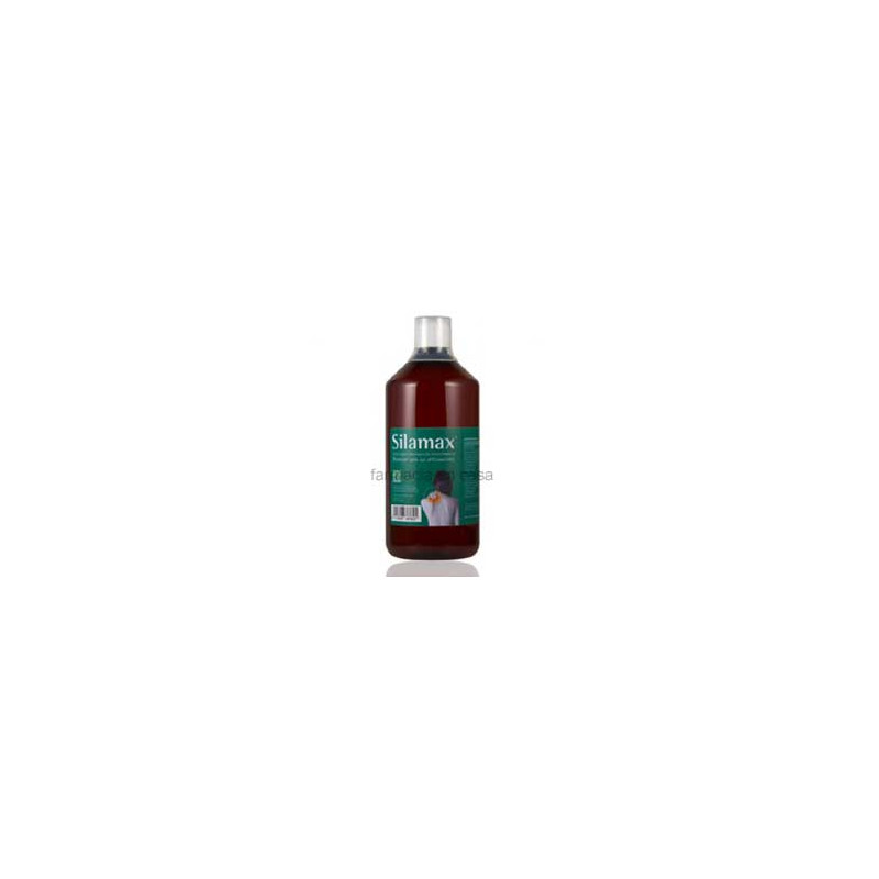 SILAMAX ARTICULACIONES 1L