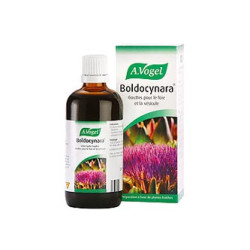 BOLDOCYNARA 100 ML. BIOFORCE