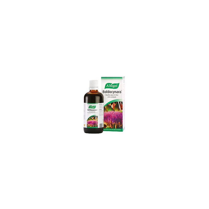 BOLDOCYNARA 100 ML. BIOFORCE