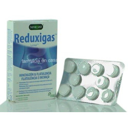 REDUXIGAS HINCHAZON Y FLATULENCIA COMPRIMIDOS MASTIC 20 UDS