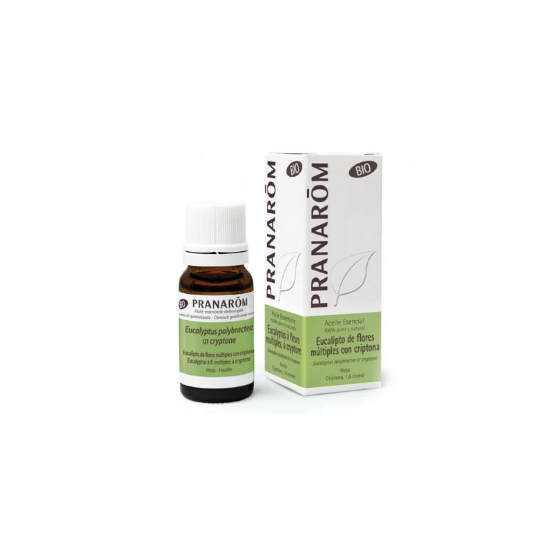 Pranarom Aceite Esencial Eucalipto de Flores Bio 10ml