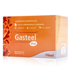 Gasteel Plus 30 Sticks