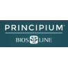 Principium