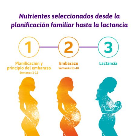 Femibion 1 Planificacion-Prinicipio Embarazo 28 Comprimidos - Farmacia en  Casa Online