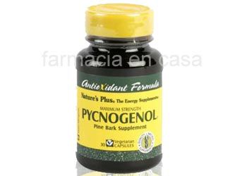 Natures Plus Pycnogenol Antioxidante 30 Capsulas