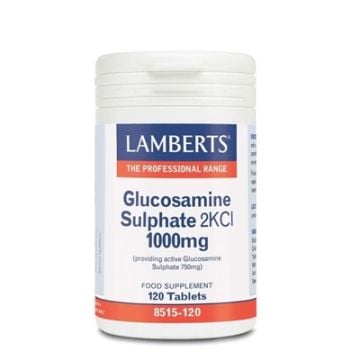 Lamberts Sulfato de Glucosamina 1000mg 120 Comprimidos