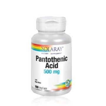 Solaray Acido Pantotenico 500mg 100 capsulas