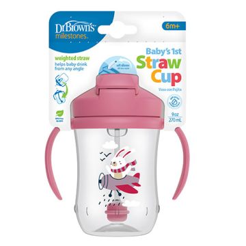 Dr Browns Vaso con Pajita Rosa 6m+ 270ml