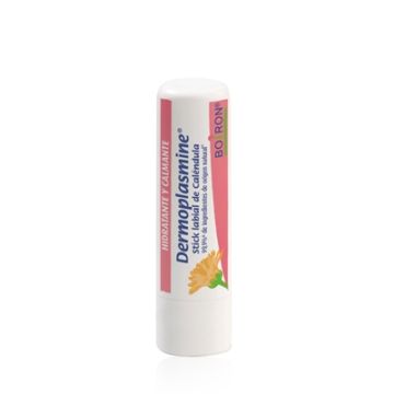 Boiron Dermoplasmine Stick Labial Calendula 4g Boiron Dermoplasmine Stick Labial Calendula 4g