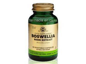 SOLGAR BOSWELLIA RESINA EXTRACTO 60 CAPSULAS VEGETALES SOLGAR BOSWELLIA RESINA EXTRACTO 60 CAPSULAS VEGETALES