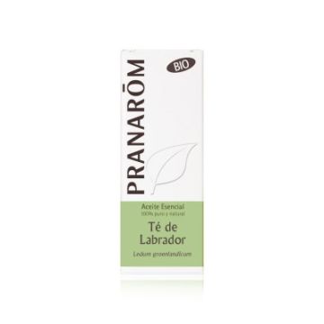 Pranarom Aceite esencial te del labrador bio 5ml Pranarom Aceite esencial te del labrador bio 5ml