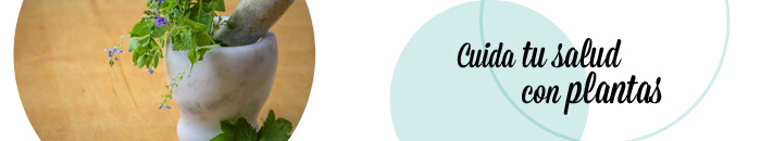 Farmacia en Casa Online - Fitaterapia - Productos al mejor precio Farmacia en Casa Online - Fitoterapia - Productos al mejor precio